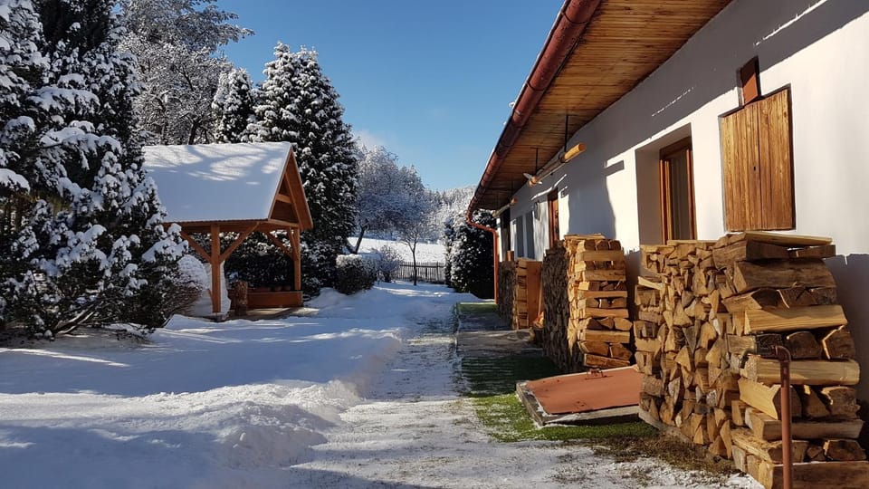 Property building, Winter