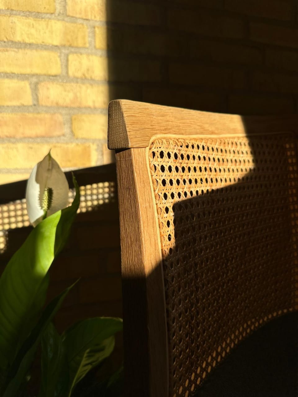 MOVE Eco Health Hotel Hotel in Zealand