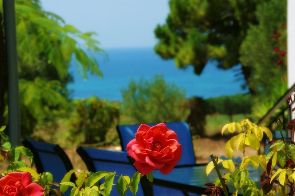 Garden, Sea view