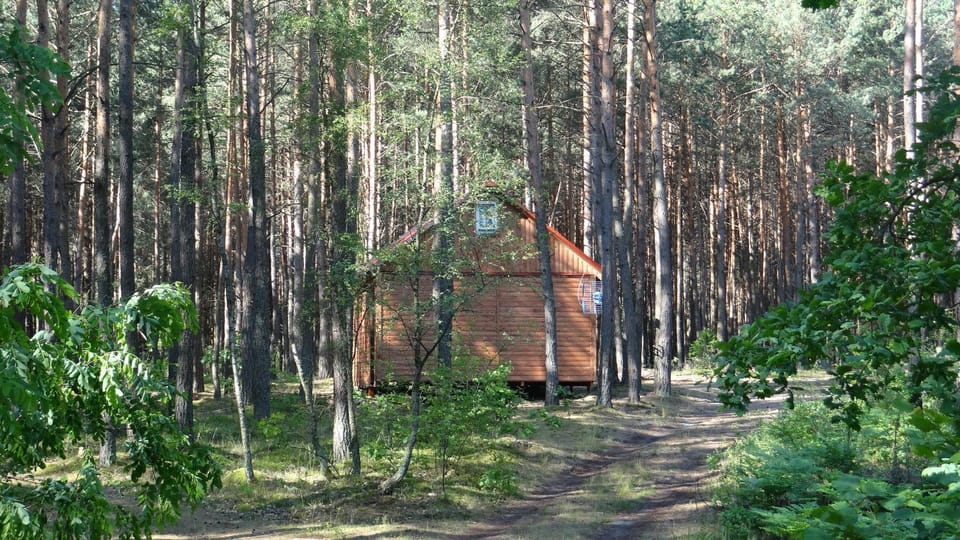 Property building, Day, Neighbourhood, Natural landscape, Summer, Garden, Hiking, On site, Garden view