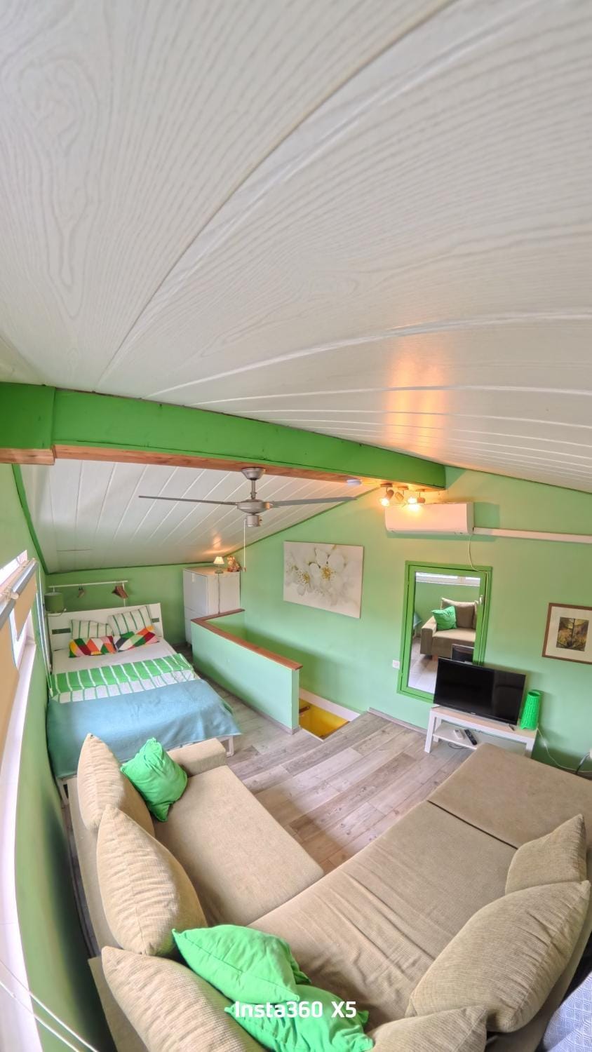 Bed, Photo of the whole room, bunk bed