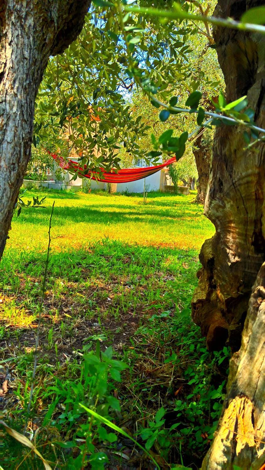 Natural landscape, Garden