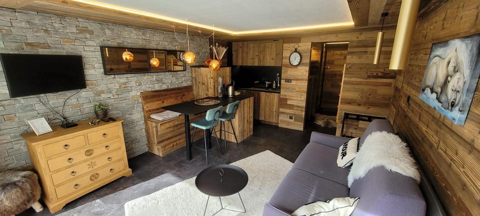 Grands studios vue sur lac Apartment in Tignes