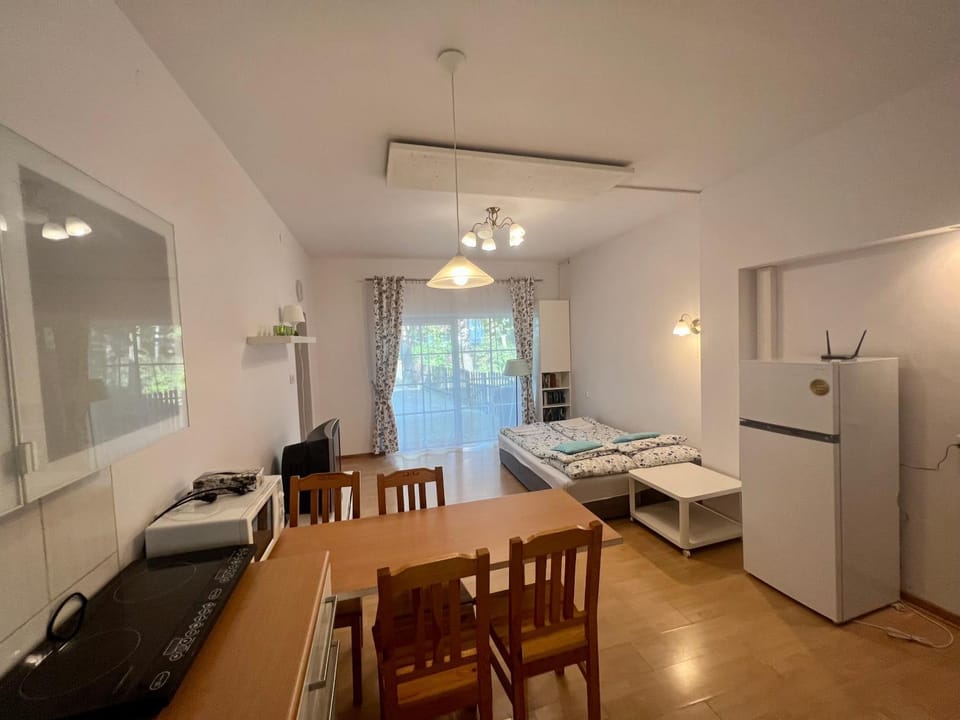Sosnowy apartament Apartment in Warsaw