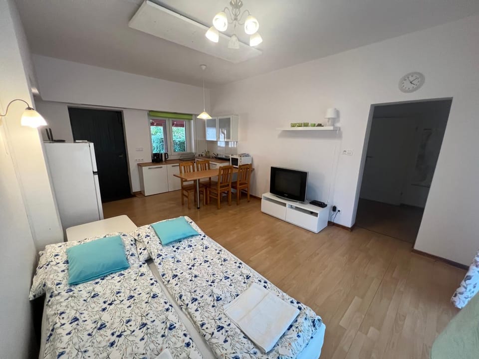 Sosnowy apartament Apartment in Warsaw