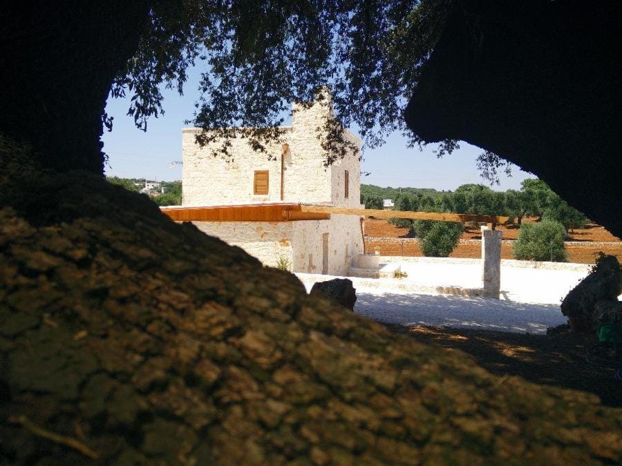 Il Trullo e la Pietra Bed and Breakfast in Ostuni