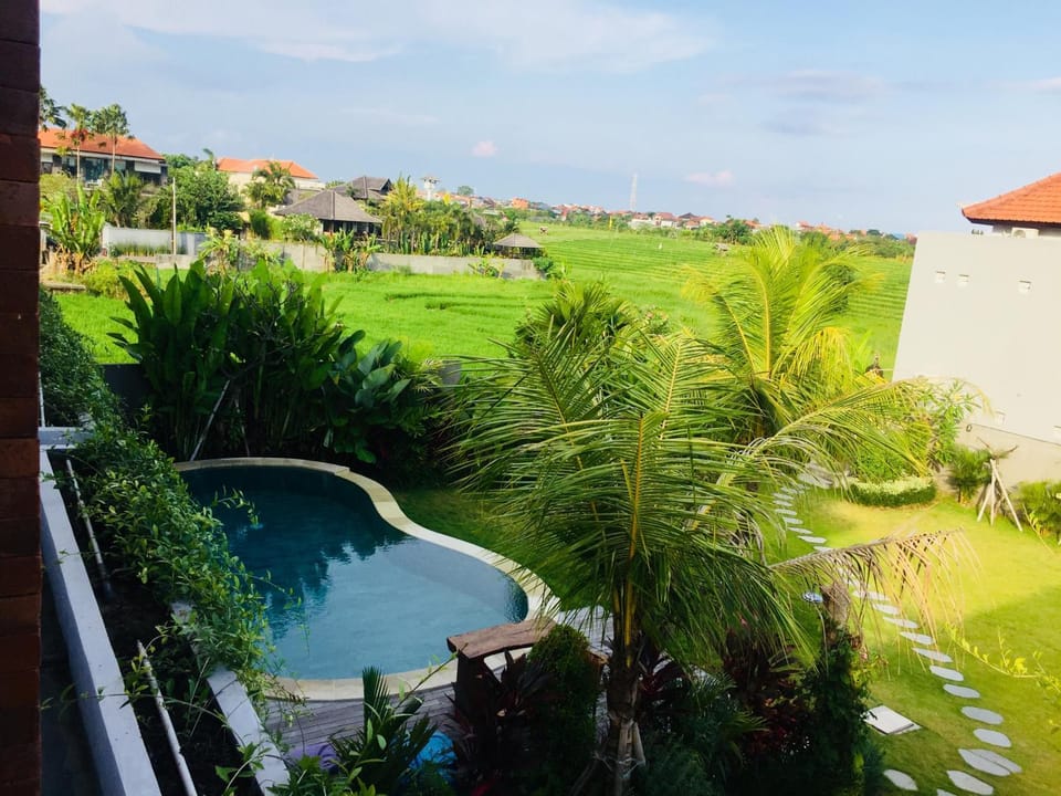 Day, Garden, Swimming pool
