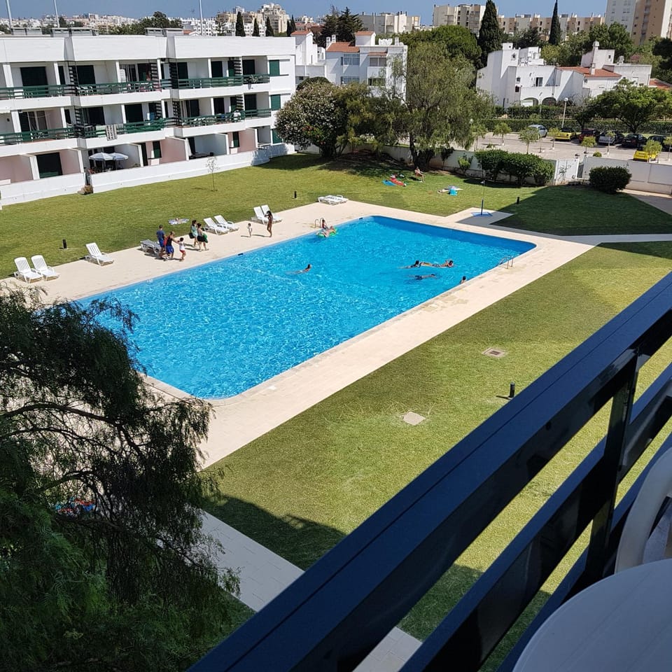 Garden, Swimming pool