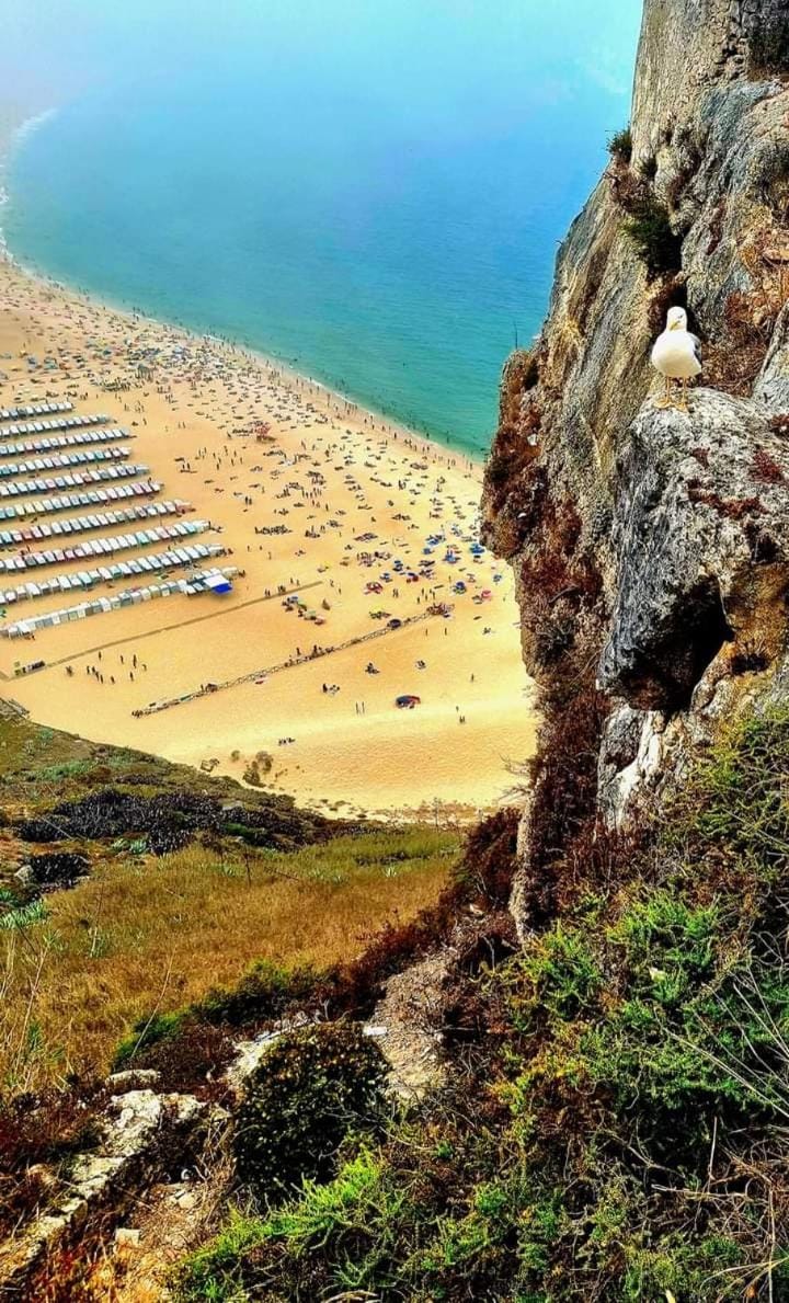 Casa da Pedralva Bed and Breakfast in Nazaré