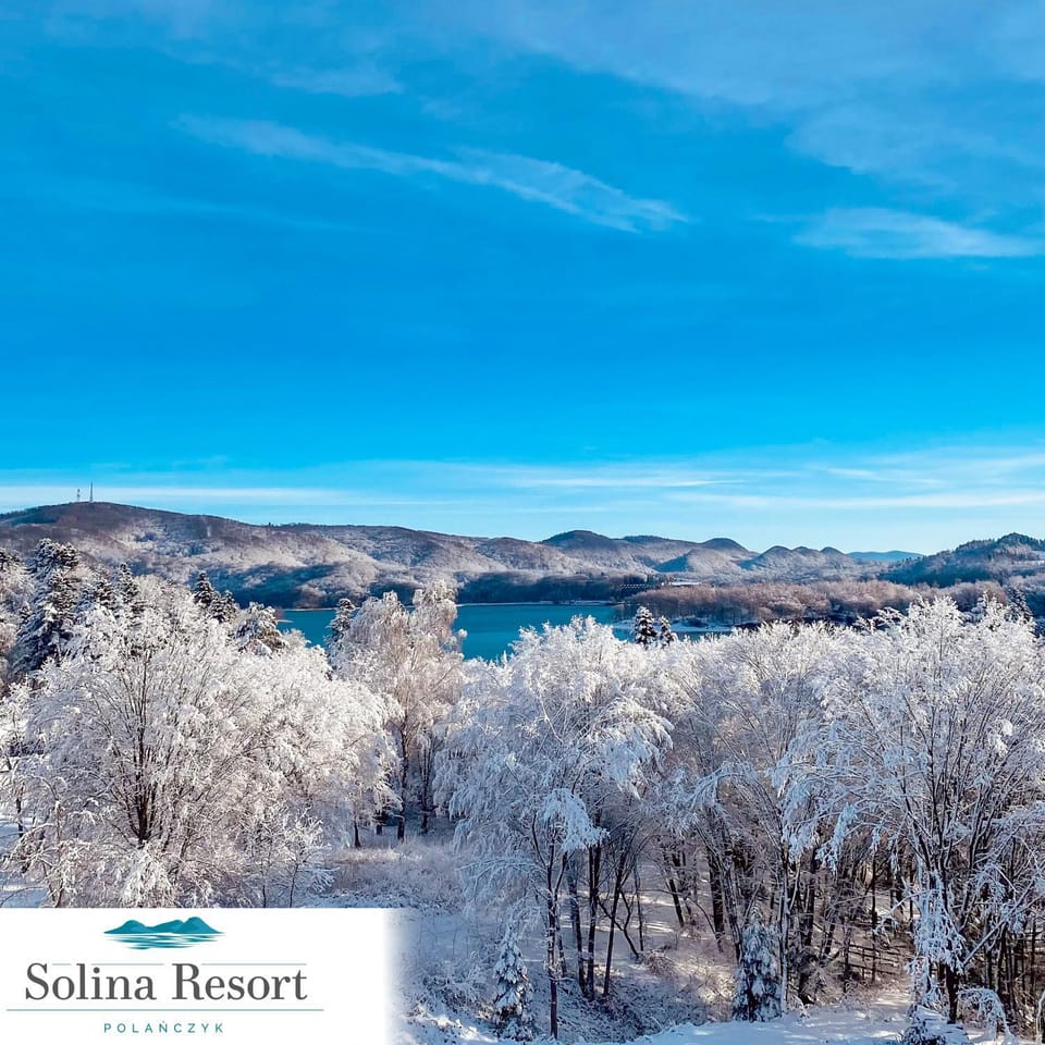 Day, Natural landscape, Winter, Lake view