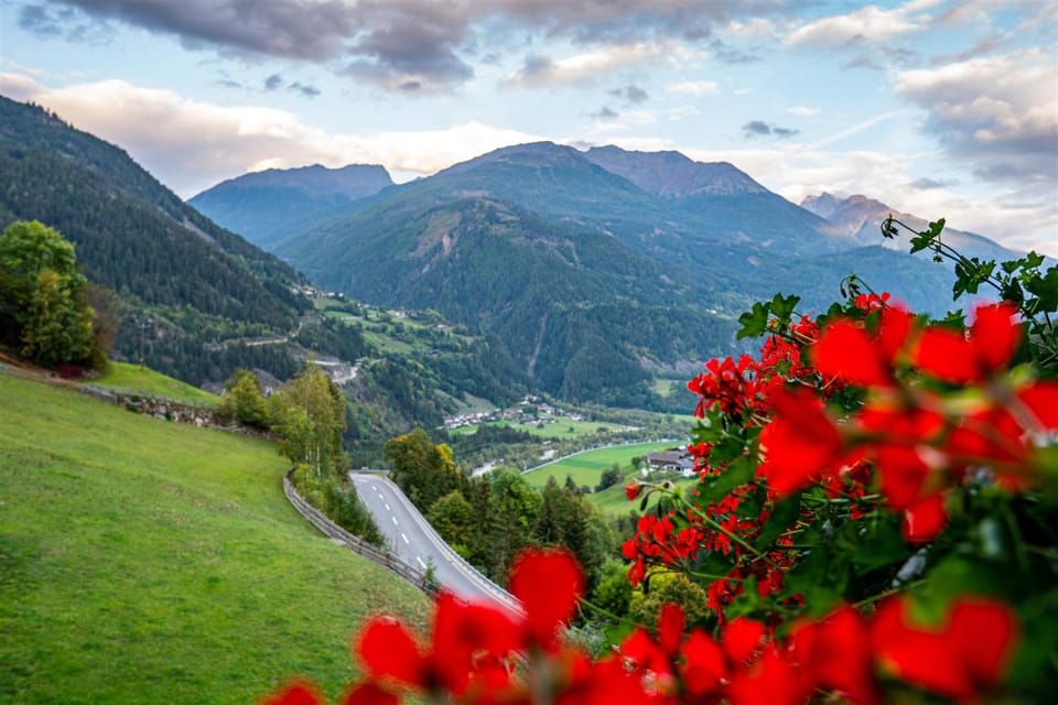 Mountain view