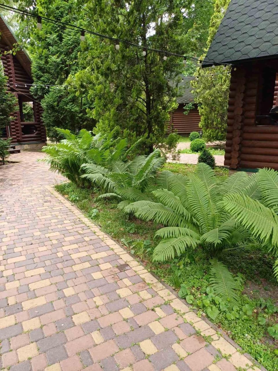 Property building, Natural landscape, Area and facilities
