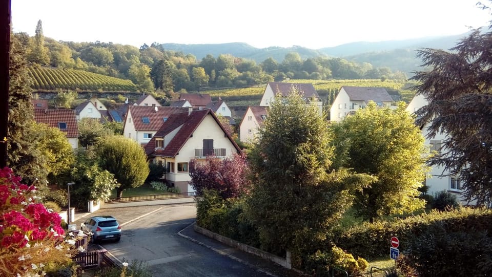 View (from property/room)
