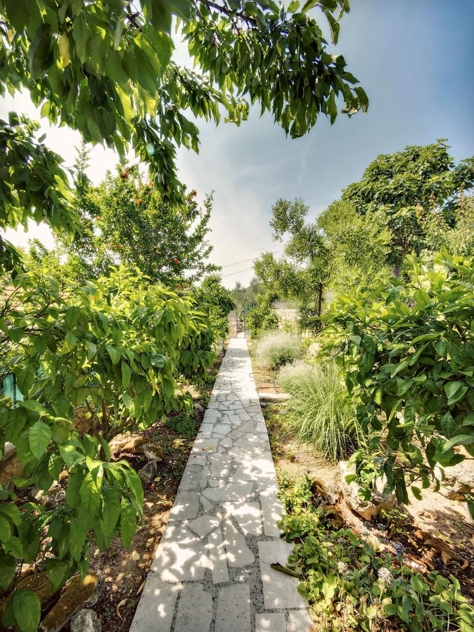 Garden, Garden