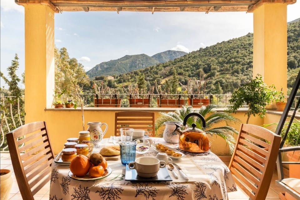 Natural landscape, View (from property/room), Balcony/Terrace, Food and drinks, Food, Mountain view, Breakfast