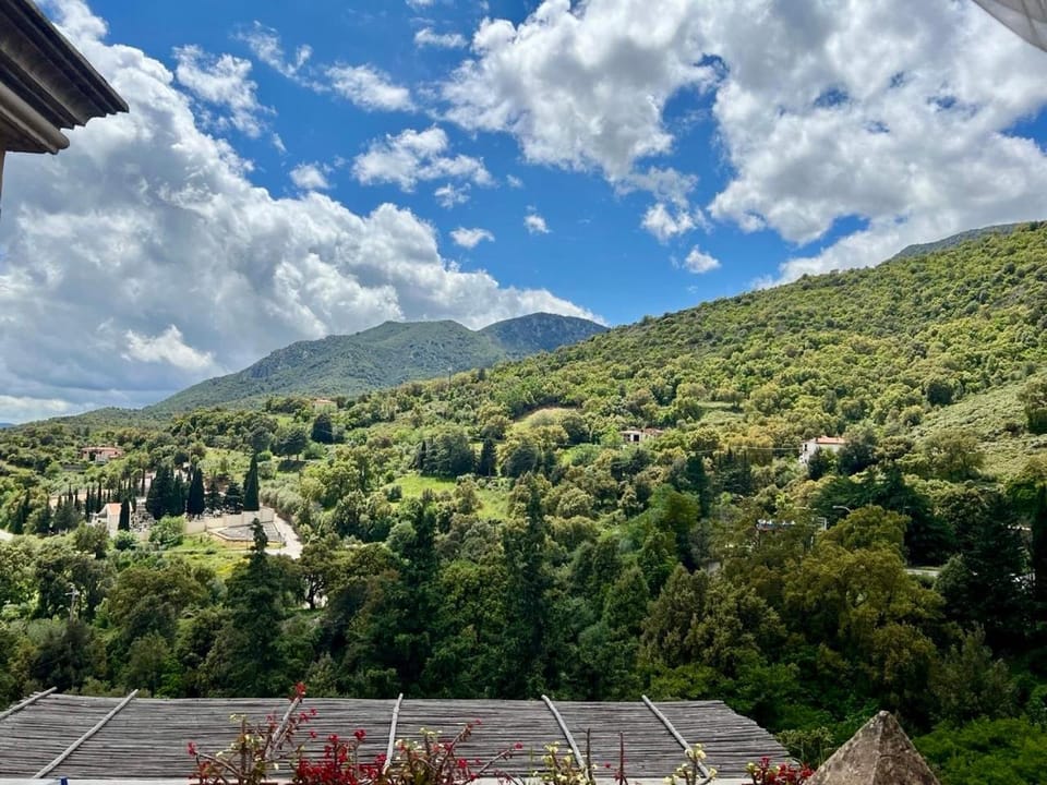 B&B Su Biancu - Sardinian Experience Bed and Breakfast in Sardinia