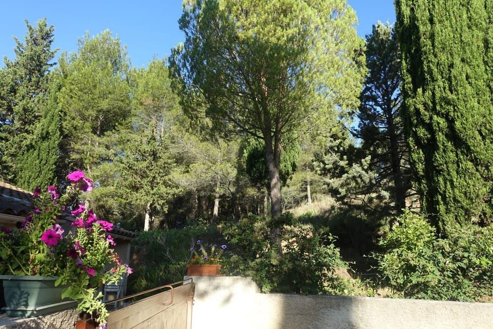 Natural landscape