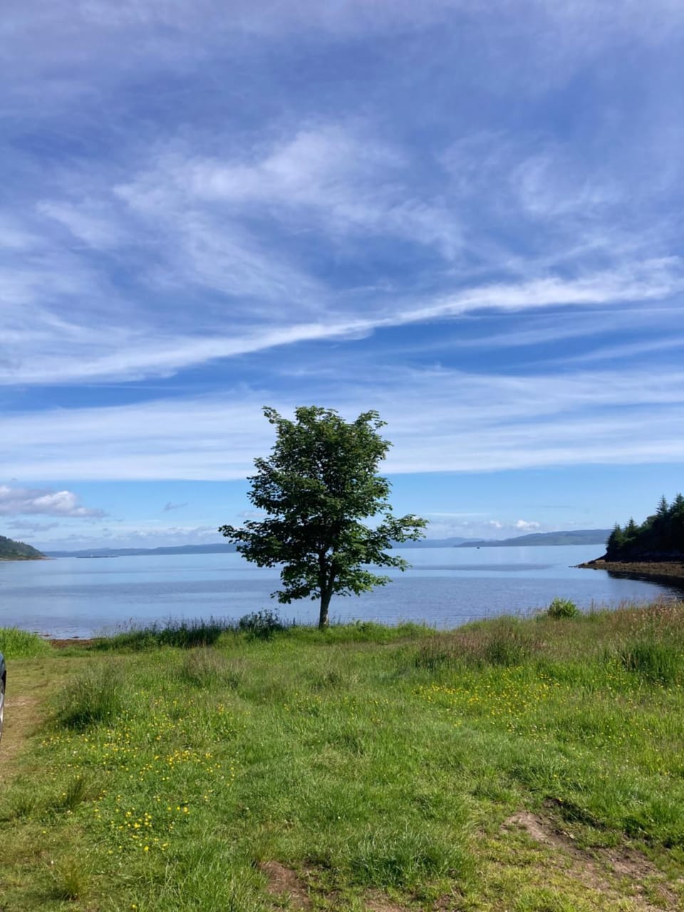 Natural landscape
