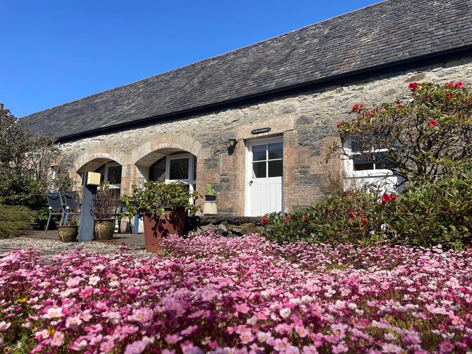 Property building, Patio, Spring