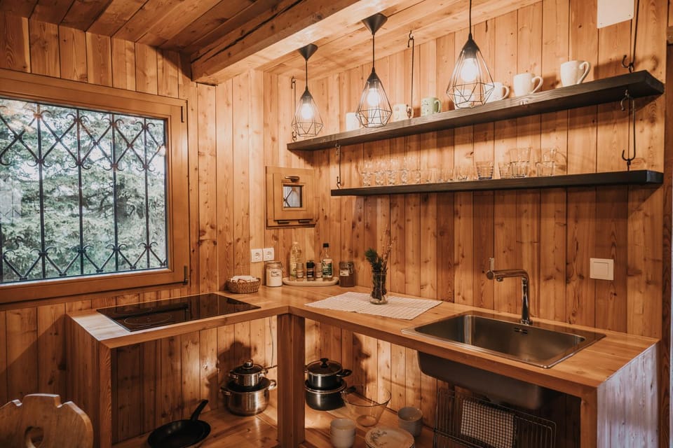 Koča Bistra - Velika planina Chalet in Slovenia