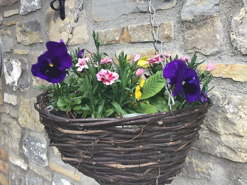 Poplar Farm Bed and Breakfast in Sedgemoor