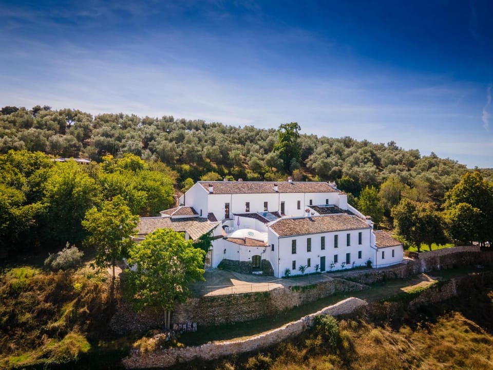 Bird's eye view, Garden