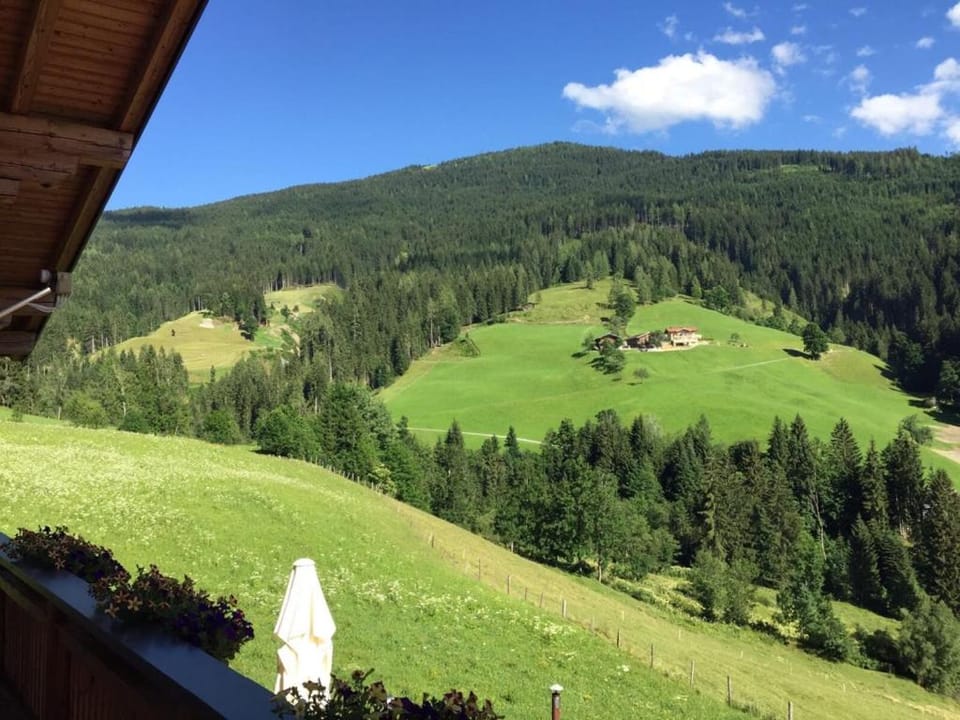 Summer, Mountain view