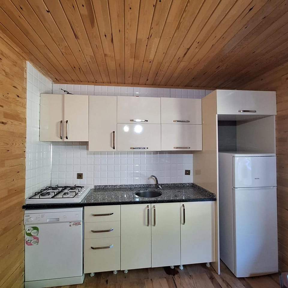 dishwasher, oven, stove