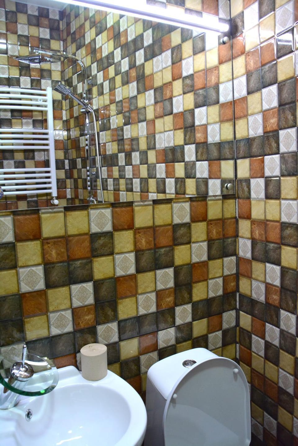 Shower, Toilet, Bathroom