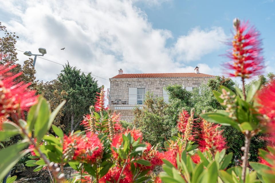 Property building, Garden