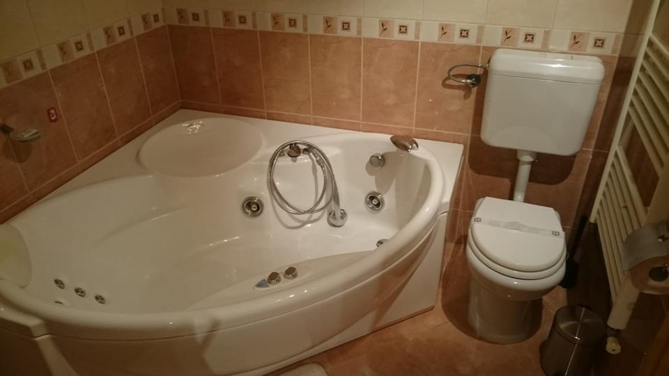 Toilet, Bathroom, On site