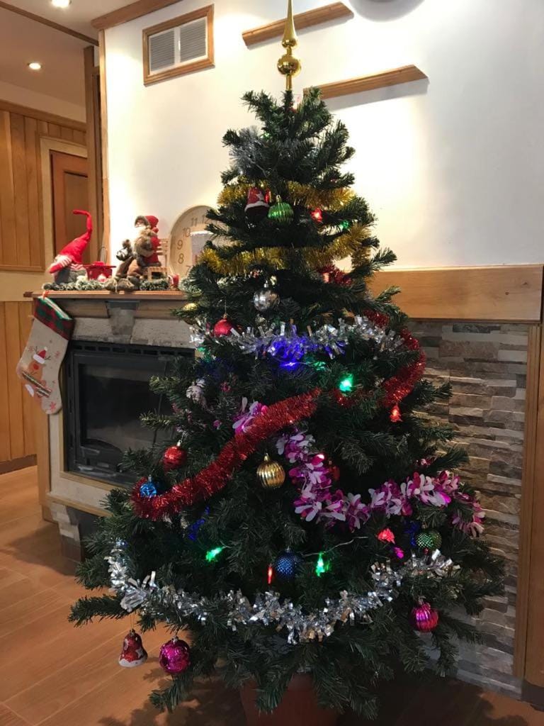 Apartment Ray ot Durvo Apartment in Veliko Tarnovo