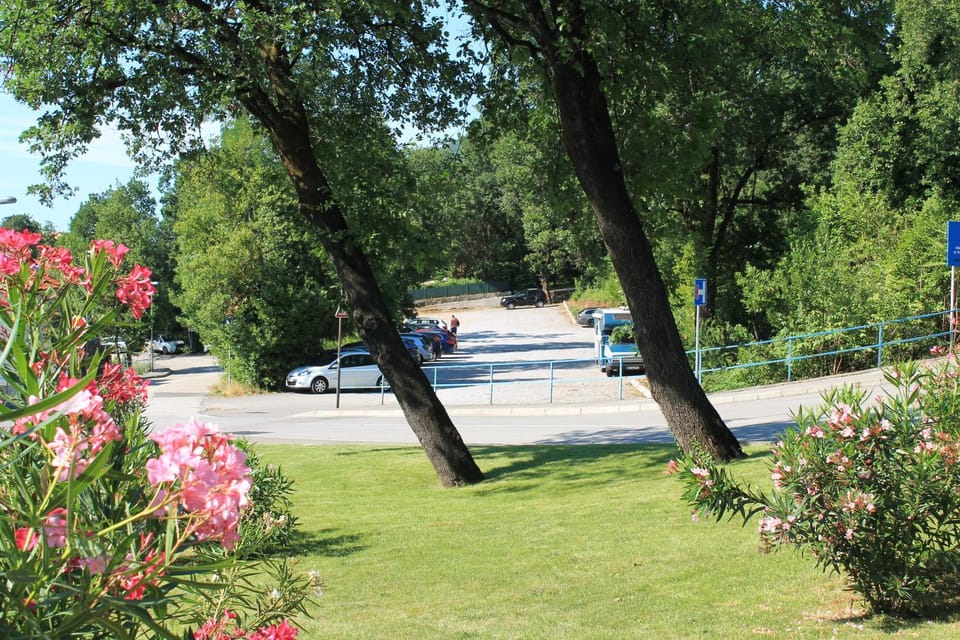 Day, Neighbourhood, Natural landscape