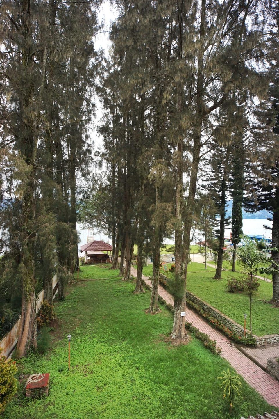 Natural landscape