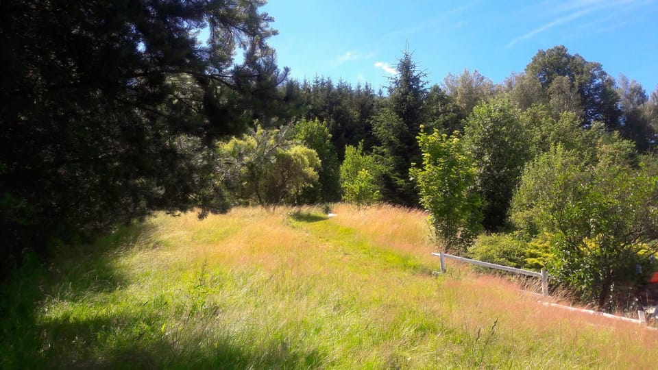 Neighbourhood, Natural landscape, Garden
