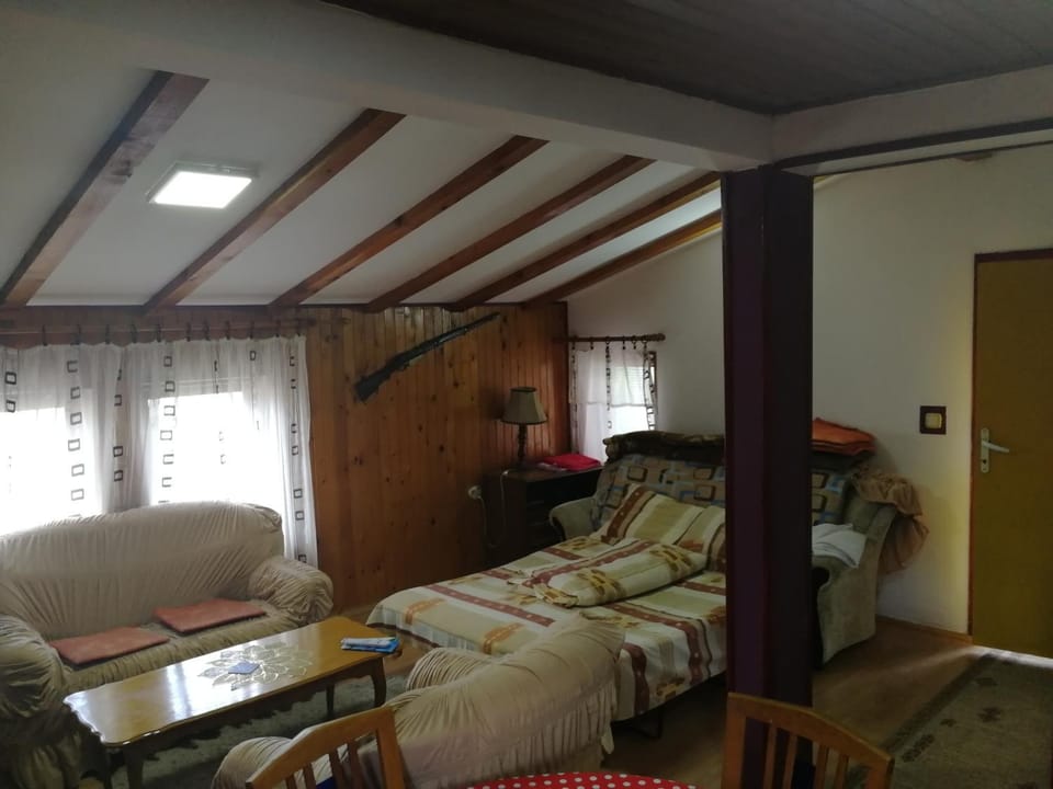 Apartmani Teodor Apartment in Serbia