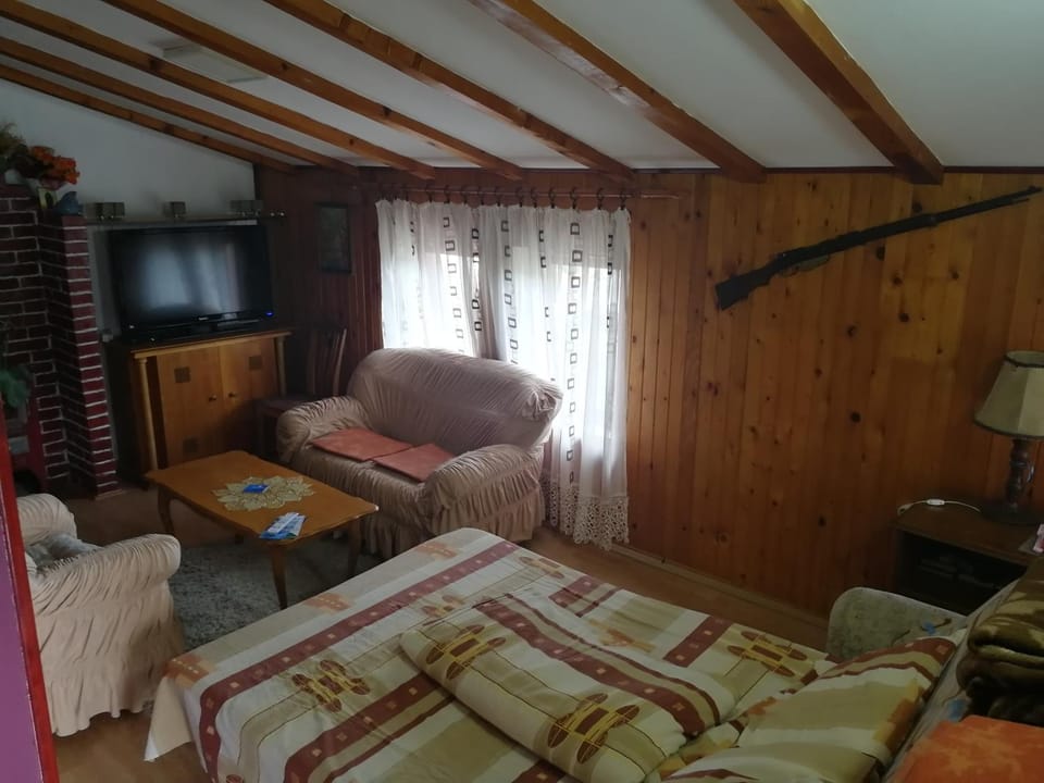 Apartmani Teodor Apartment in Serbia