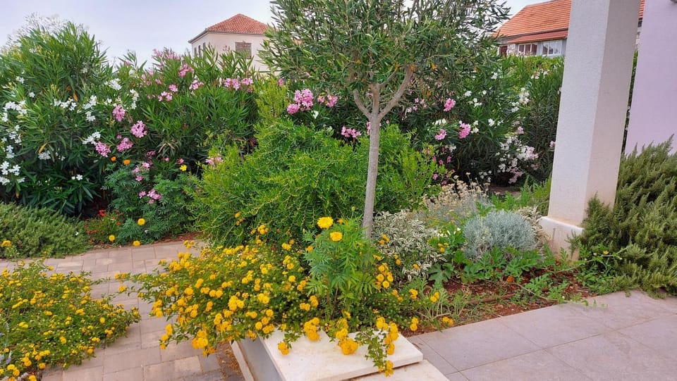 Garden view