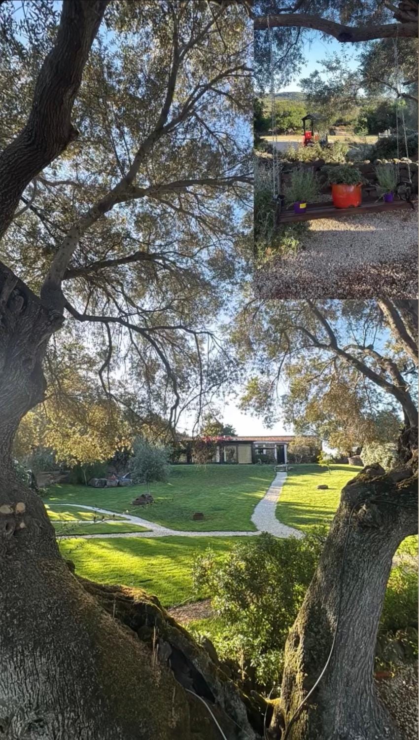 Agriturismo nuraghe Putzu Canu Country House in Sardinia