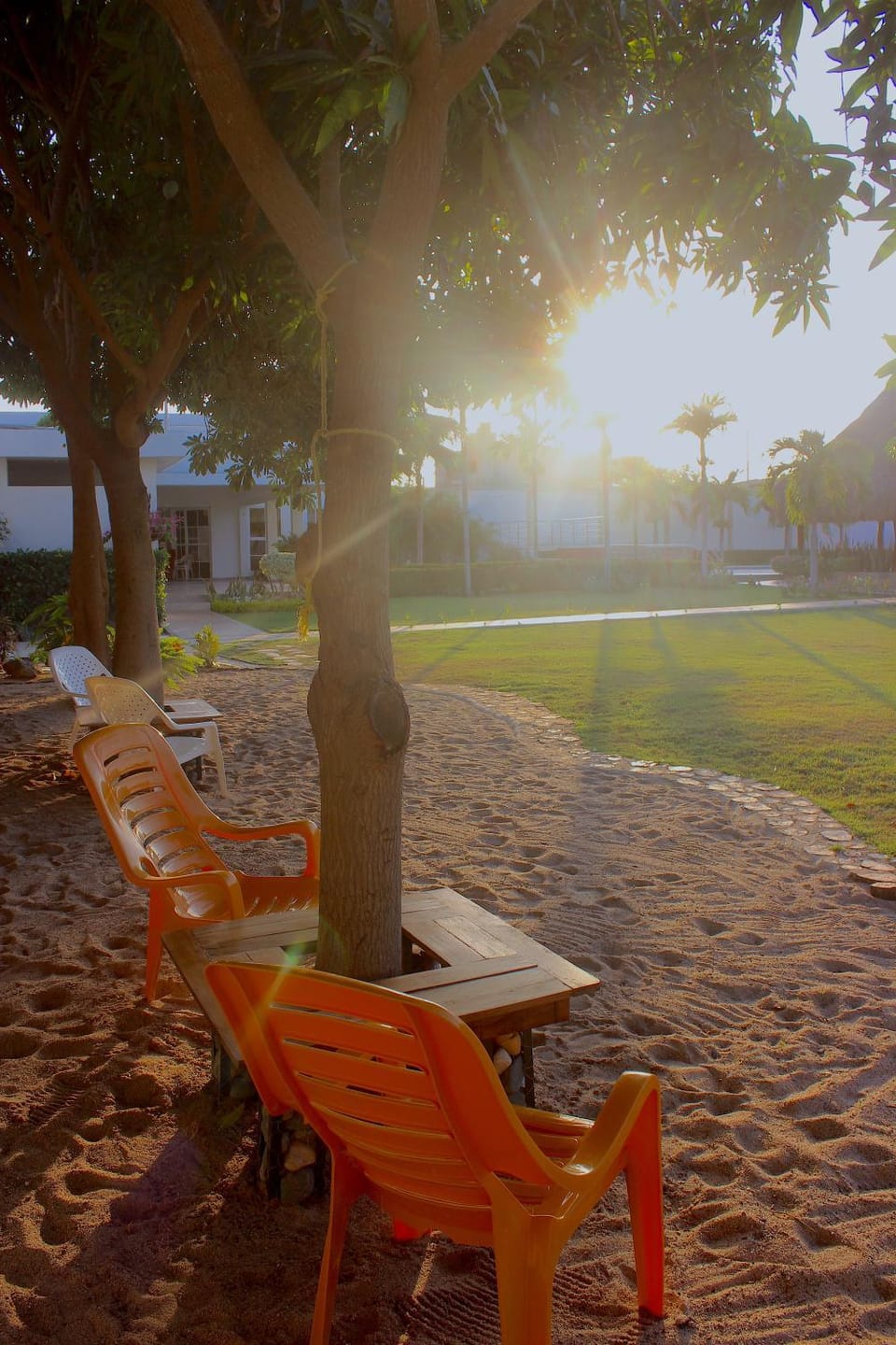 Patio, Off site, Activities, Garden, Beach, On site, Garden view, Pool view, Area and facilities, Sunset