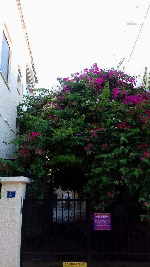 Aegina's Flowers house Apartment in Argolis, Greece