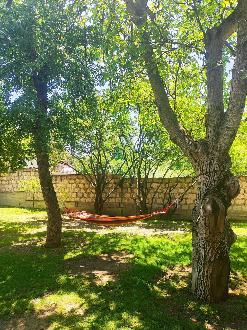 Spring, Day, Natural landscape, Garden, Garden view