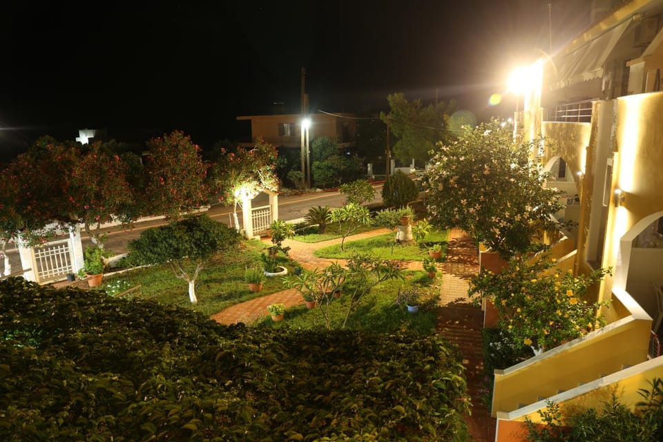 Property building, Night, Natural landscape, Garden, Garden view