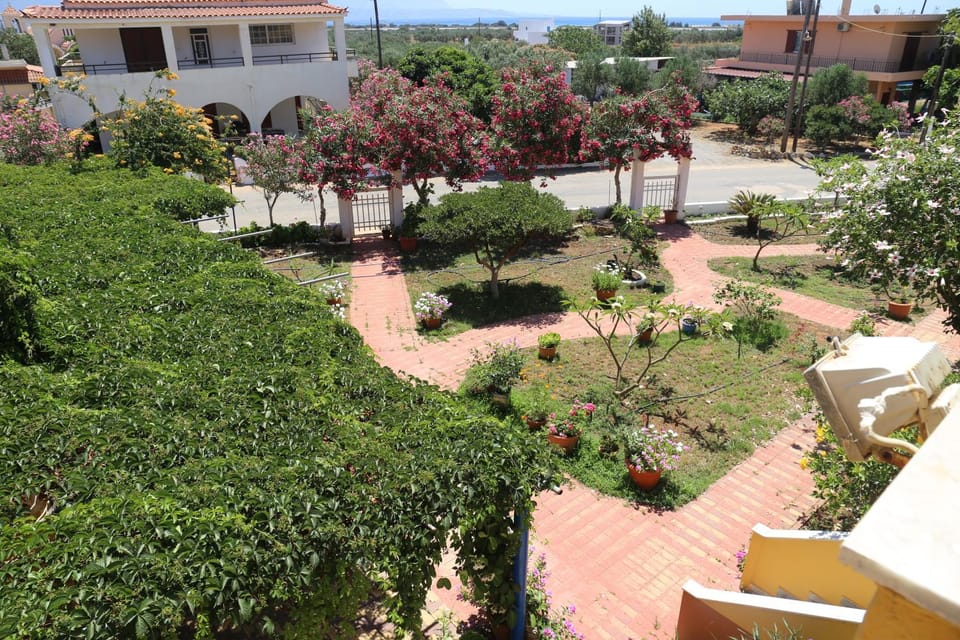 Day, Garden, Garden view