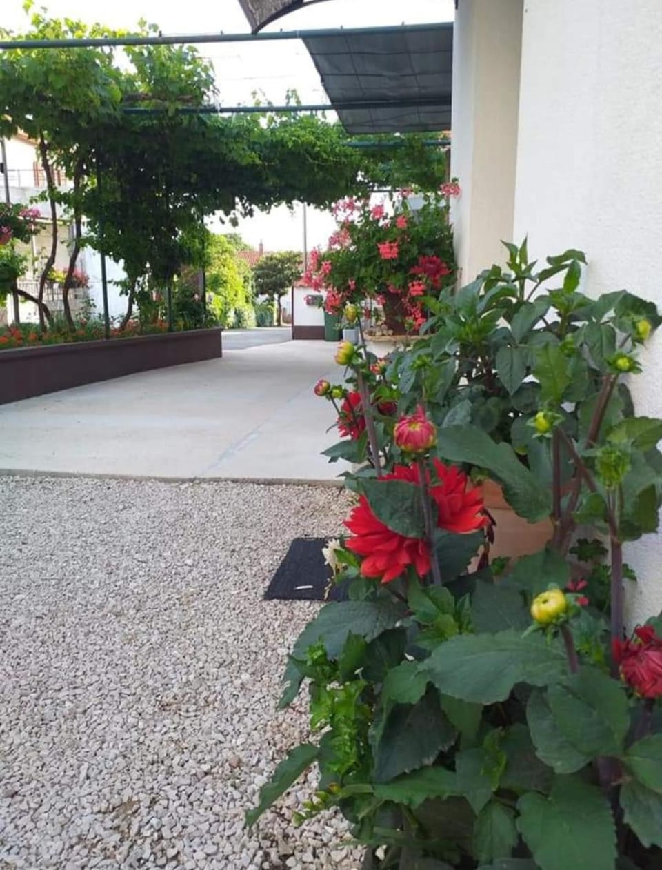 Apartments Jeličić Apartment in Biograd na Moru