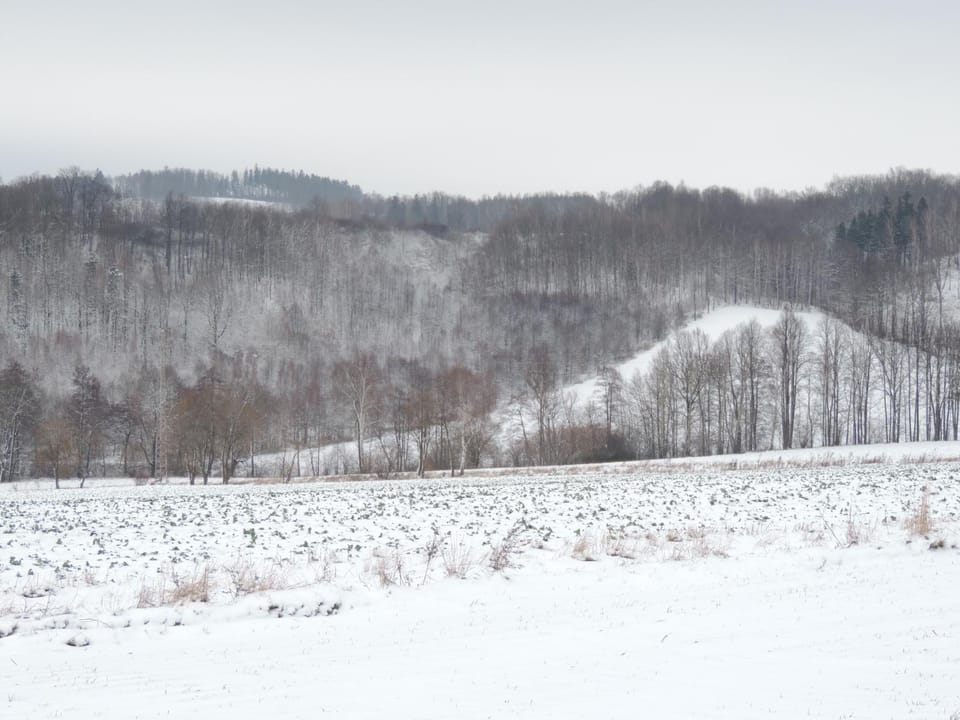 Natural landscape, Winter