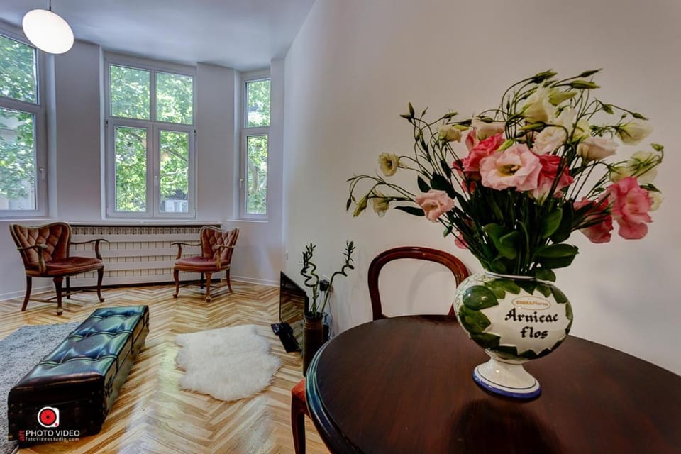 Class Vintage Apartment Apartment in Belgrade