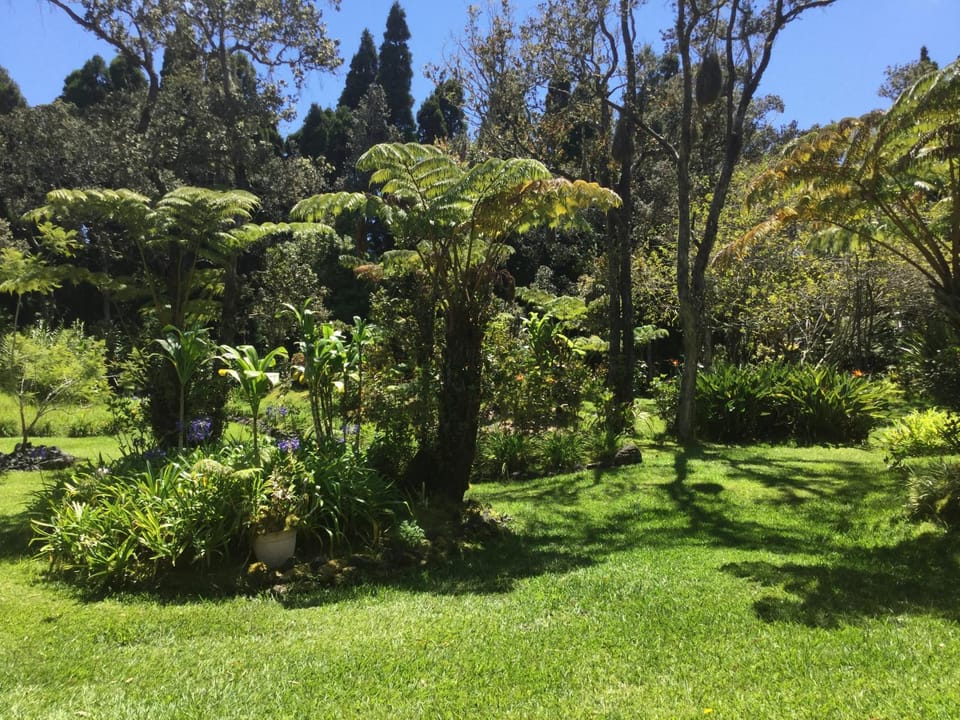 Garden, Garden
