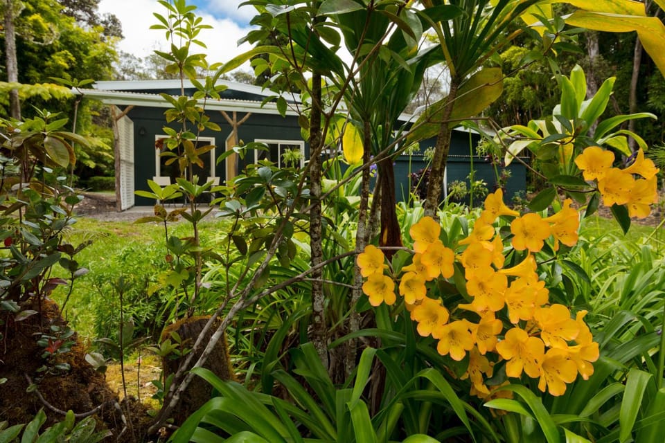 Property building, Natural landscape, Garden, Garden, Internal: Not applicable to any particular room