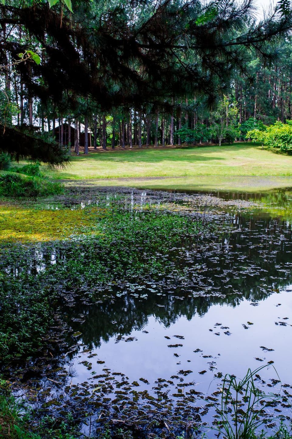 OM B&B + Spa Bed and Breakfast in State of Rio Grande do Sul